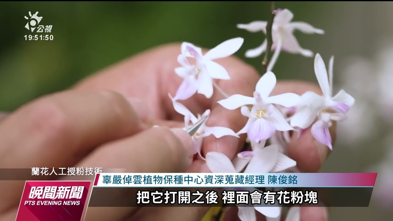 全球最大熱帶植物保種中心在屏東 成功培育逾3.4萬物種｜20230203 公視晚間新聞