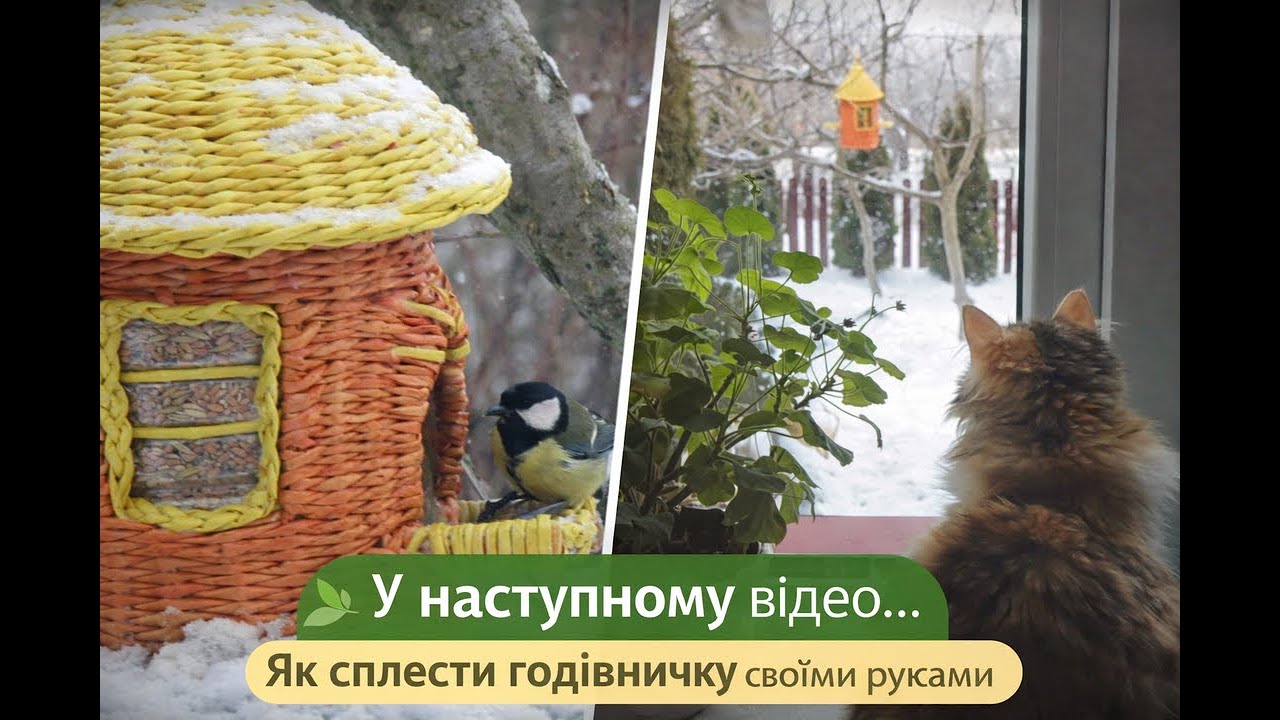 СПОЙЛЕР: Пташине кафе відкрито! 🐦 SPOILER: Bird cafe is open! Full weaving process soon!