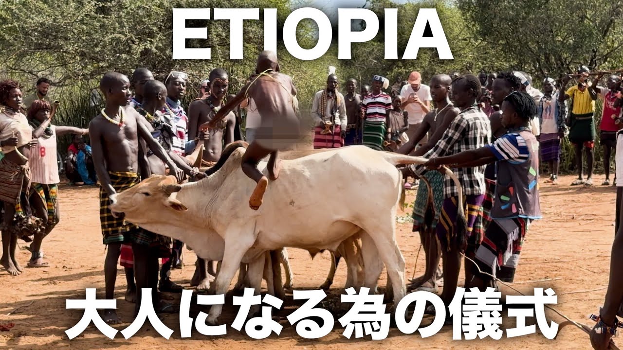 女性はムチで打たれ、少年は裸で牛を飛ぶ儀式。ハンパないハマル族🇪🇹