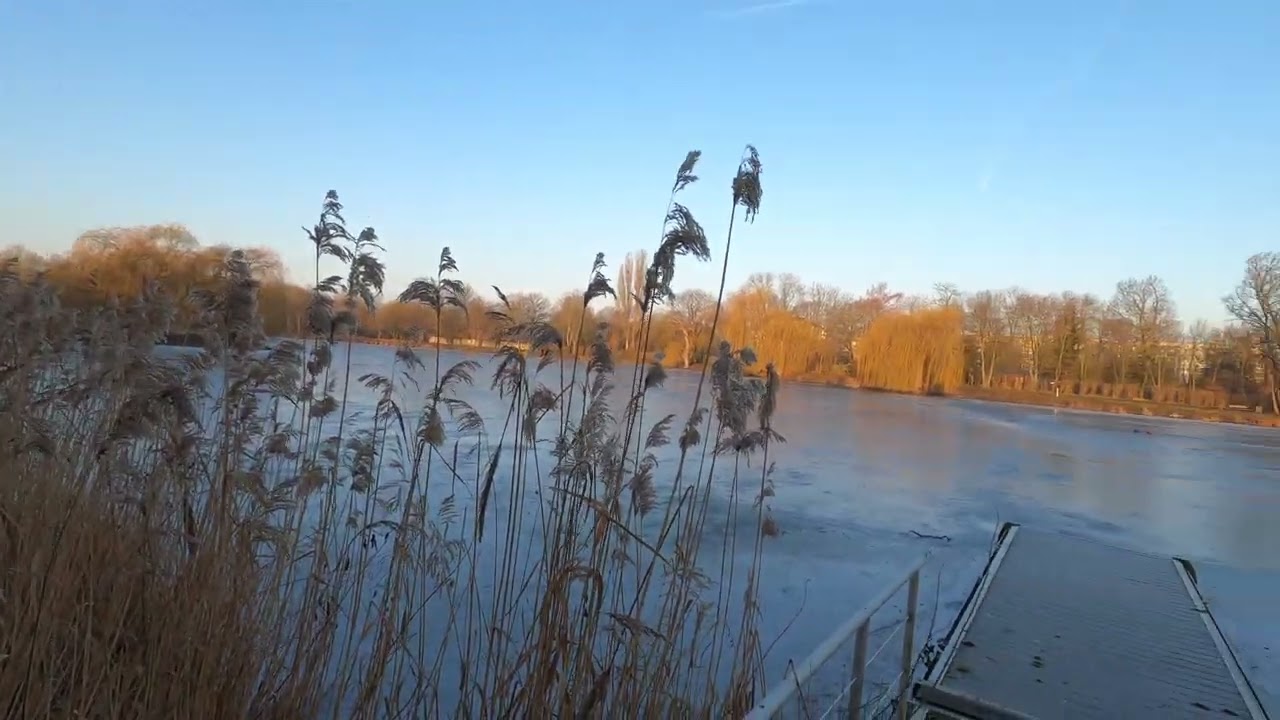 Stadtsee in Stendal zugefroren im Januar 2026