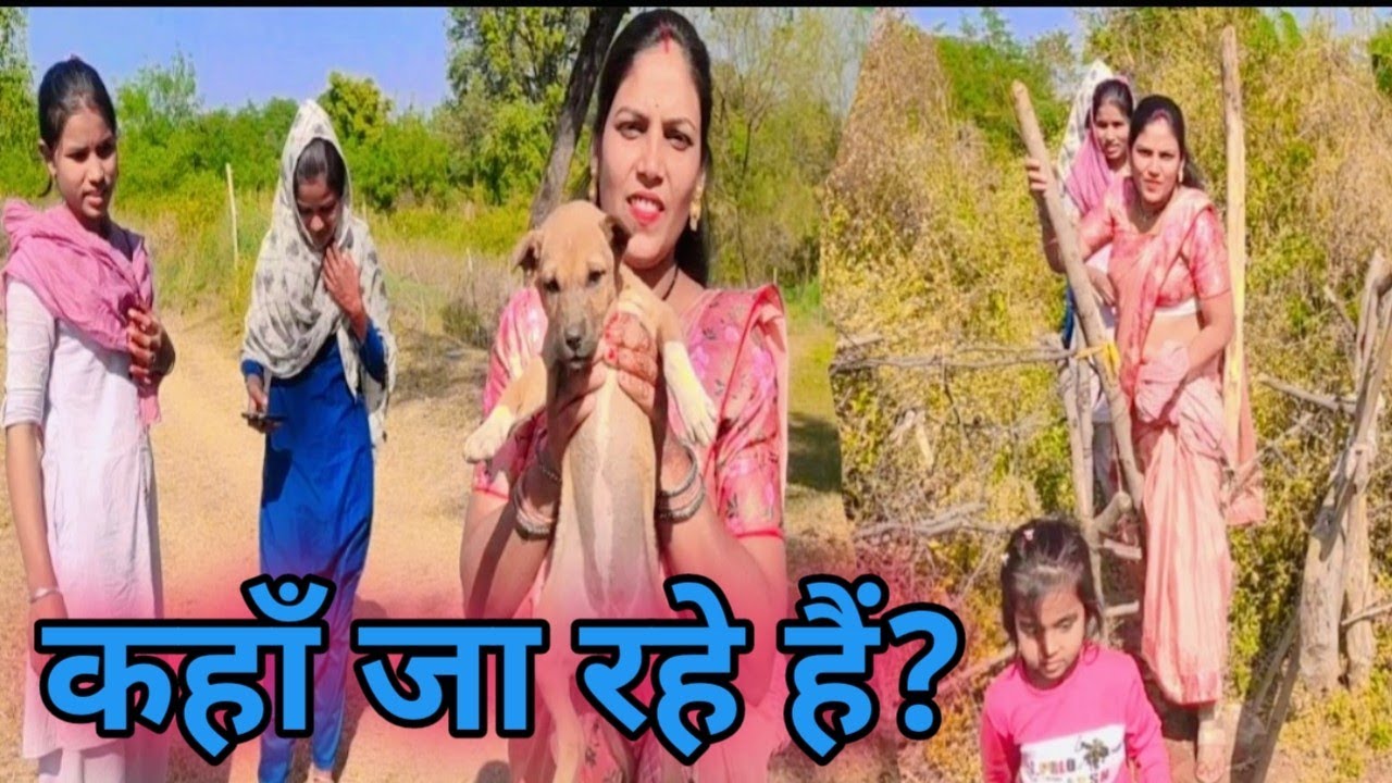 Aaj kaha ja rahe hai ham log | Cg Village vlog | Avon sunita official