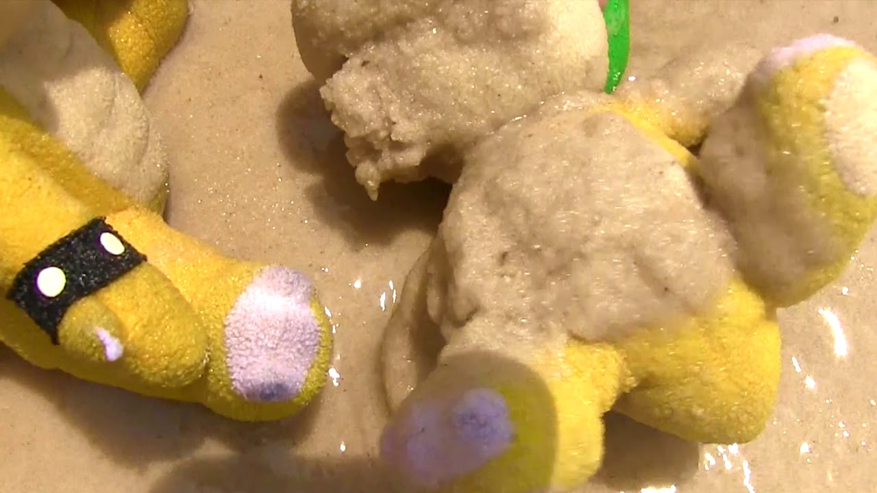 The Koopalings Day At The Beach
