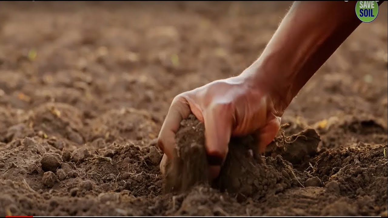 Soil Body - Soil Song - Message From Sadhguru #Sadhguru