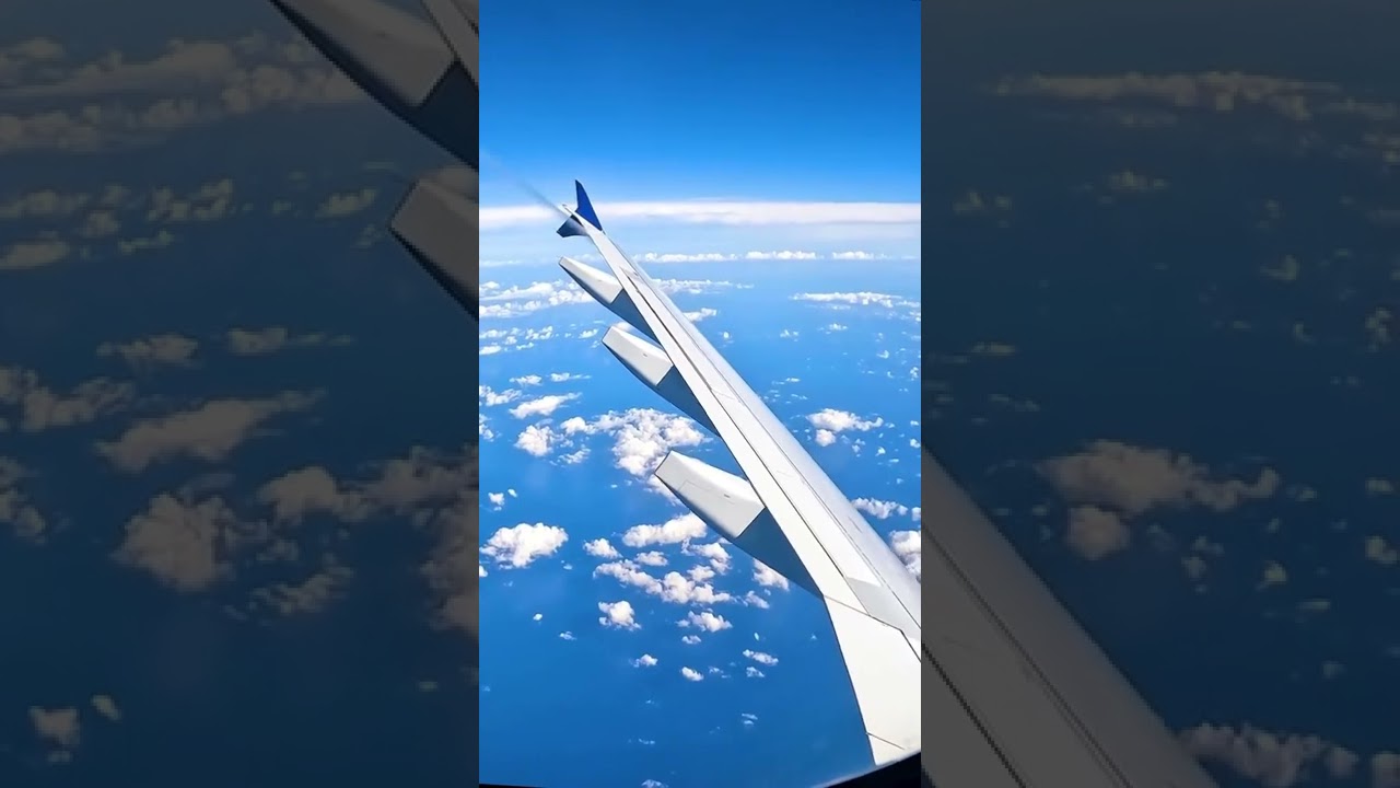 Aboard the Novespace ZeroG airbus a310 ✈️The experience gives the sensation of zero gravity