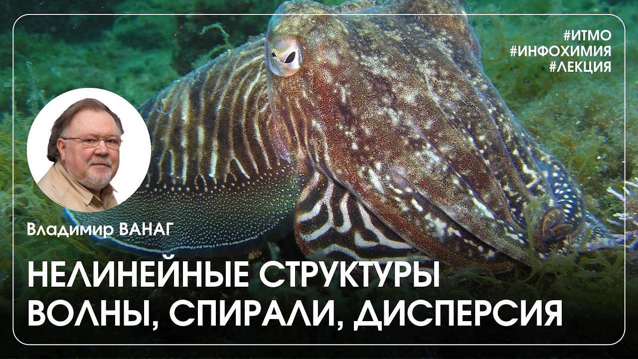 Владимир ВАНАГ &ndash; ВОЛНЫ, СПИРАЛИ, ДИСПЕРСИЯ. Нелинейные структуры