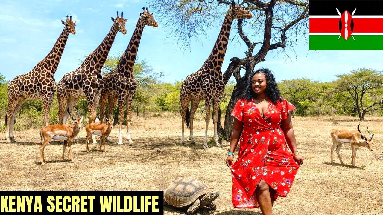 THE HIDDEN WILDLIFE IN KENYA YOU HAVE NEVER HEARD OF 🇰🇪