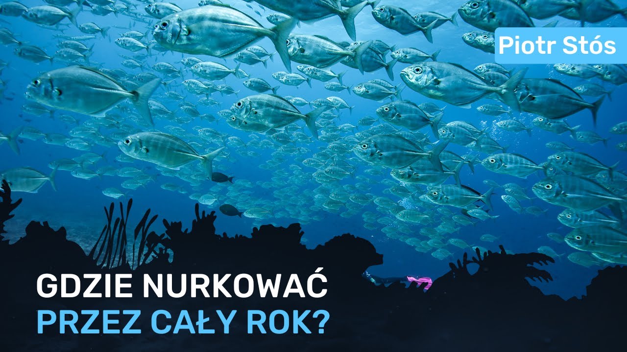 Gdzie nurkować przez cały rok? - Piotr Stós