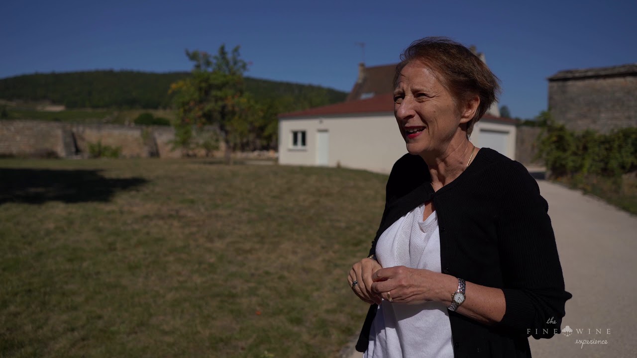 The Fine Wine Experience visits Domaine Tortochot, 2019