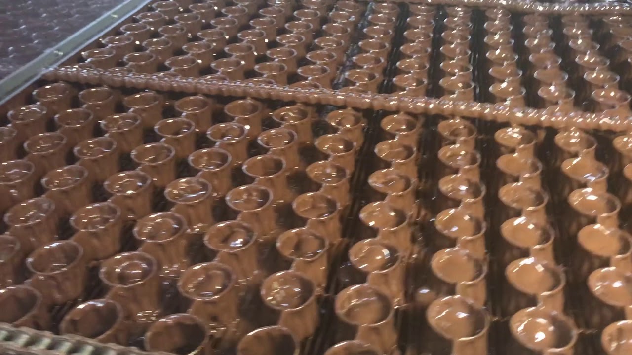 Chocolate Covered Almonds