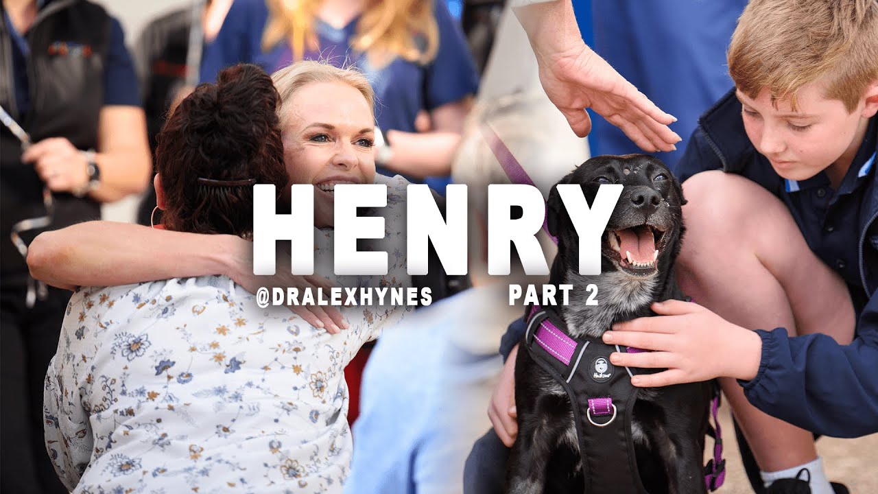 BONDI VET. Part 2 of Henry- the dog pulled from the house fire
