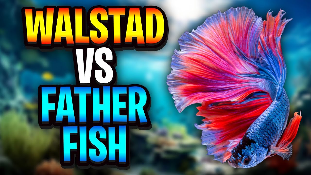 Walstad Method Vs Father Fish - What's The Best Option For Your Next Dirted Planted Tank?