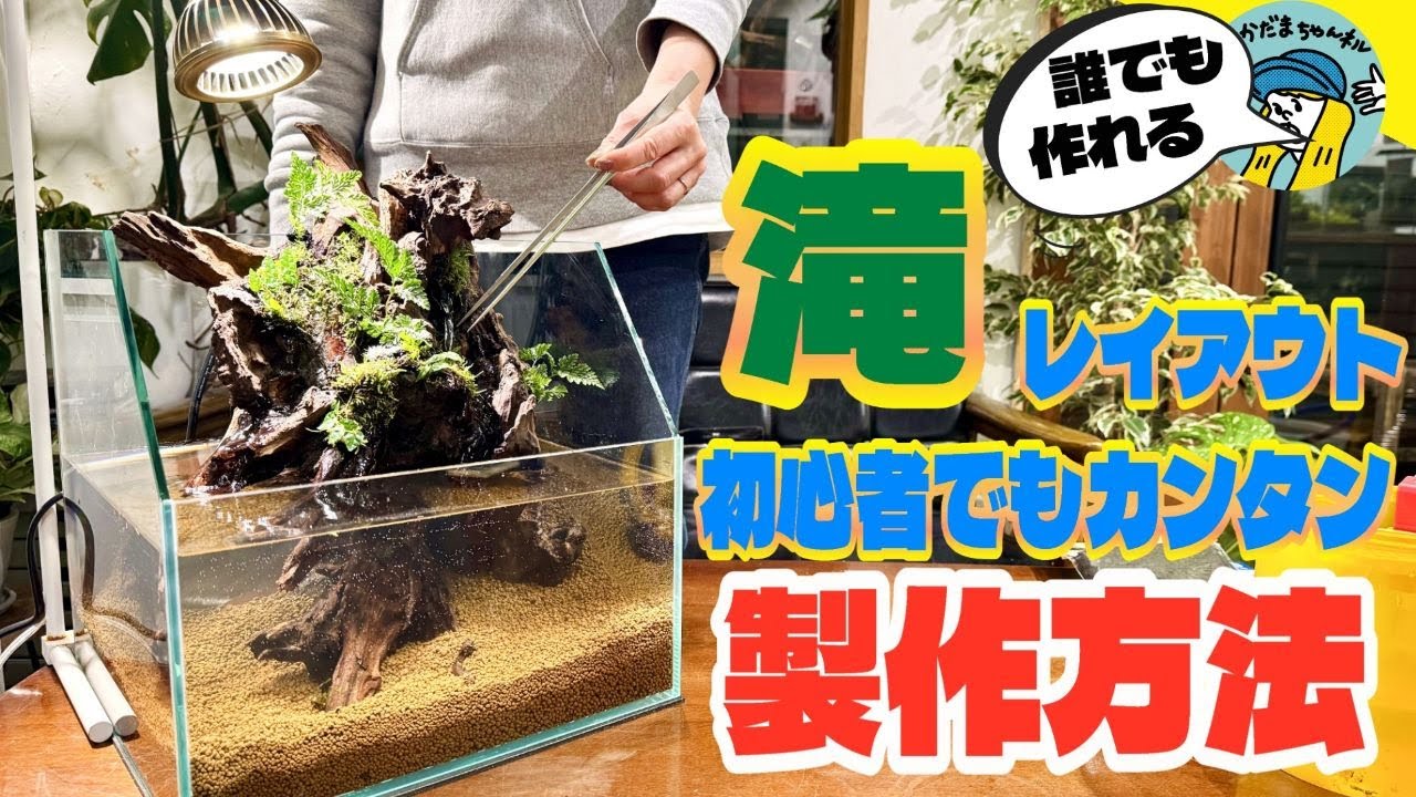 【アクアリウム】滝レイアウト初心者でも簡単に作れます（滝の流れる癒しのアクアリウムを作りませんか？）