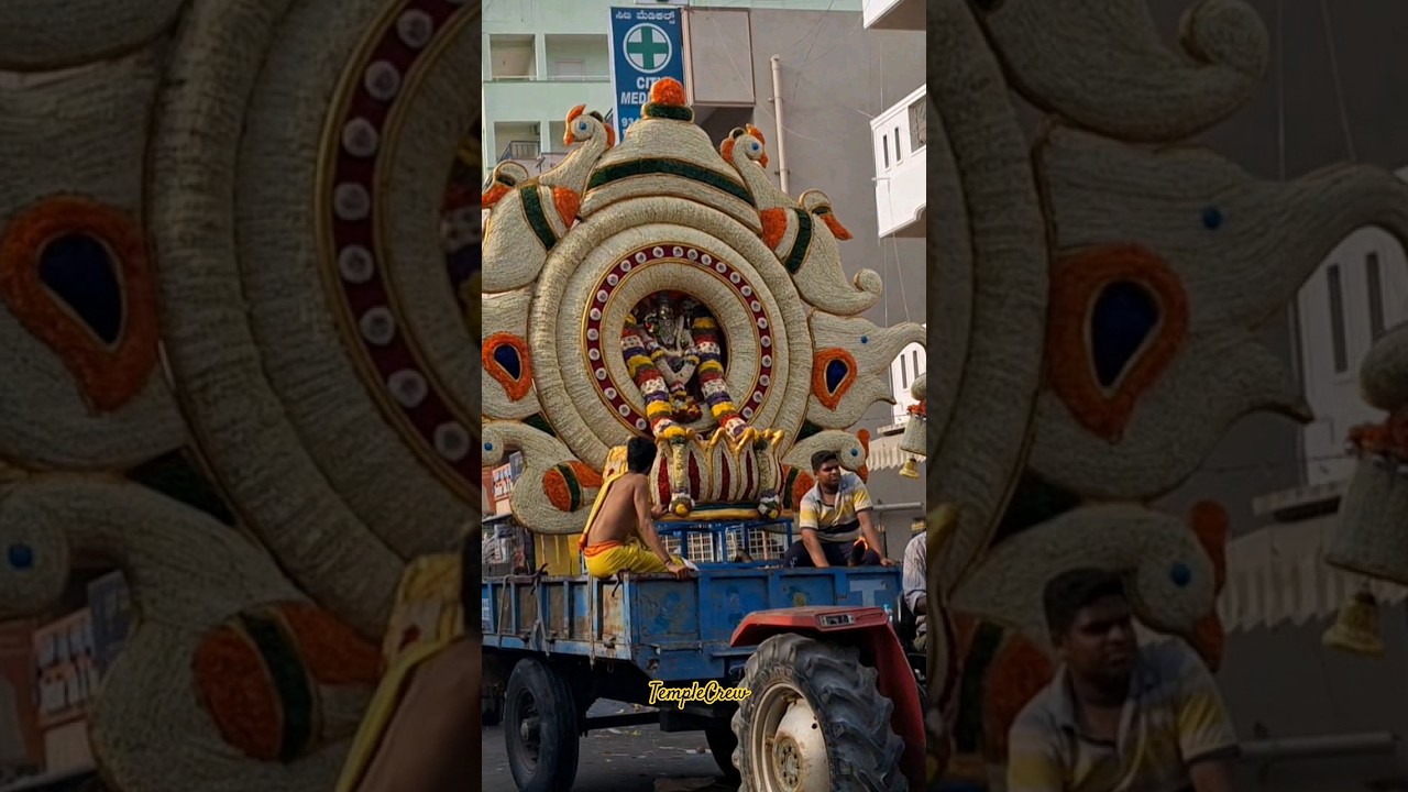 Bellandur Pallaki Utsava 2024 #viral #tamate #dance #festival #Pallaki #bellandur @templecrewww