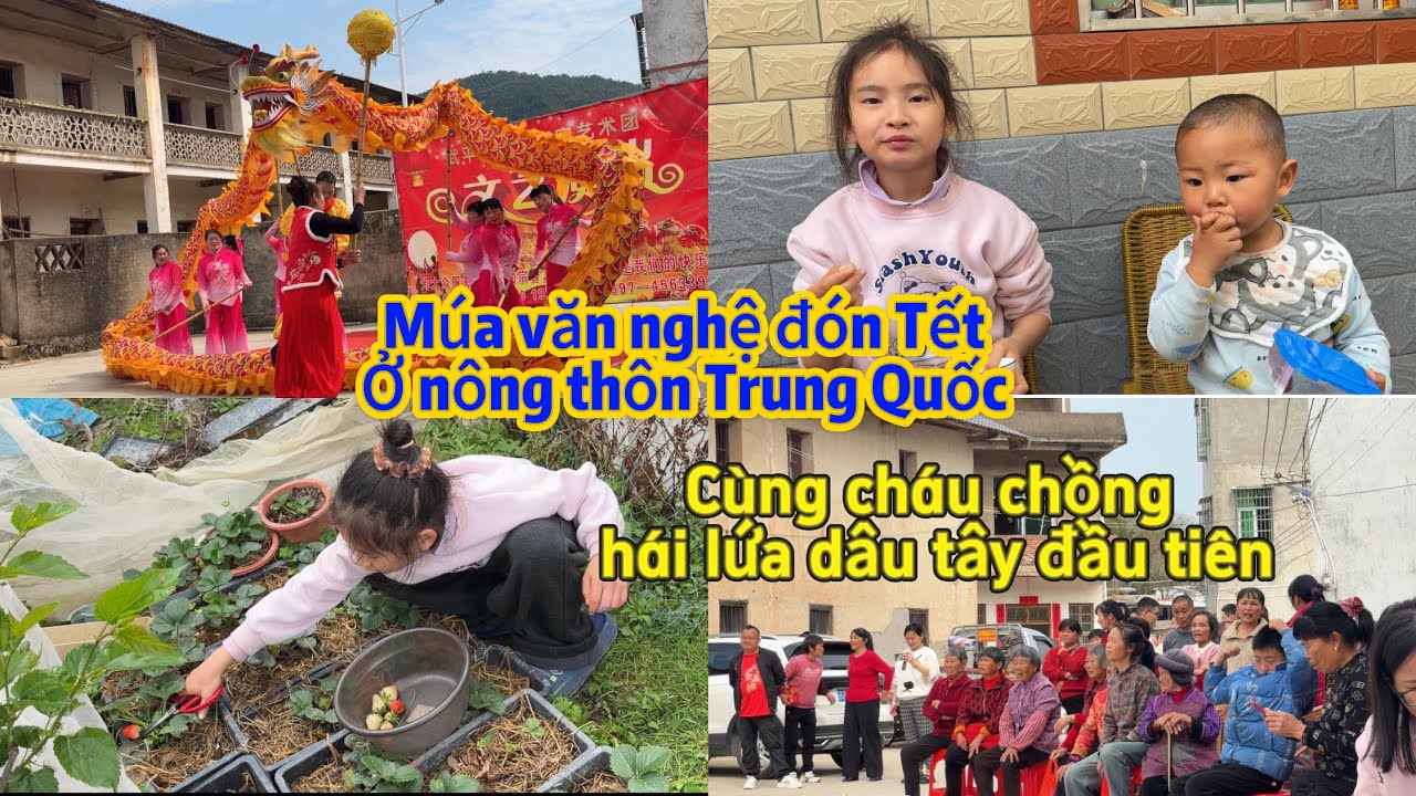 368 🥖 Múa văn nghệ Tết ở nông thôn Phúc Kiến Trung Quốc, hái lứa dâu tây tự trồng đầu tiên