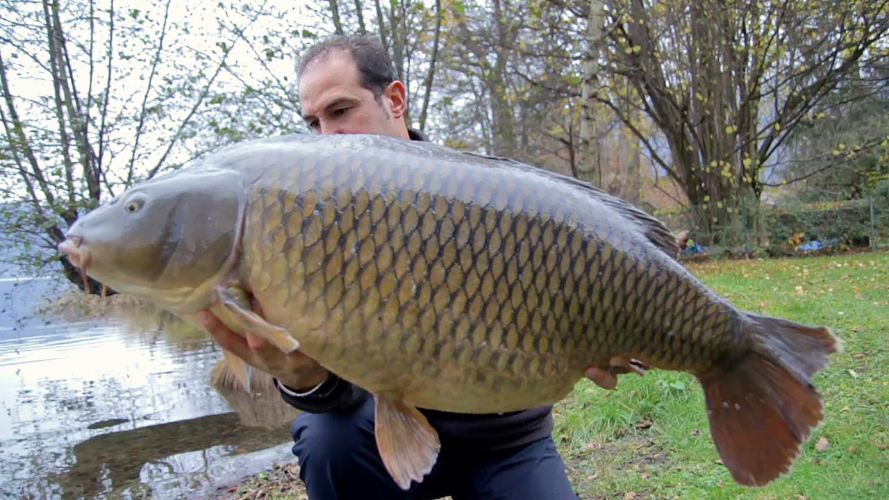 K-Karp - Carp Fishing TV - Le Meraviglie di Ossiach - K-Karp Team Part2