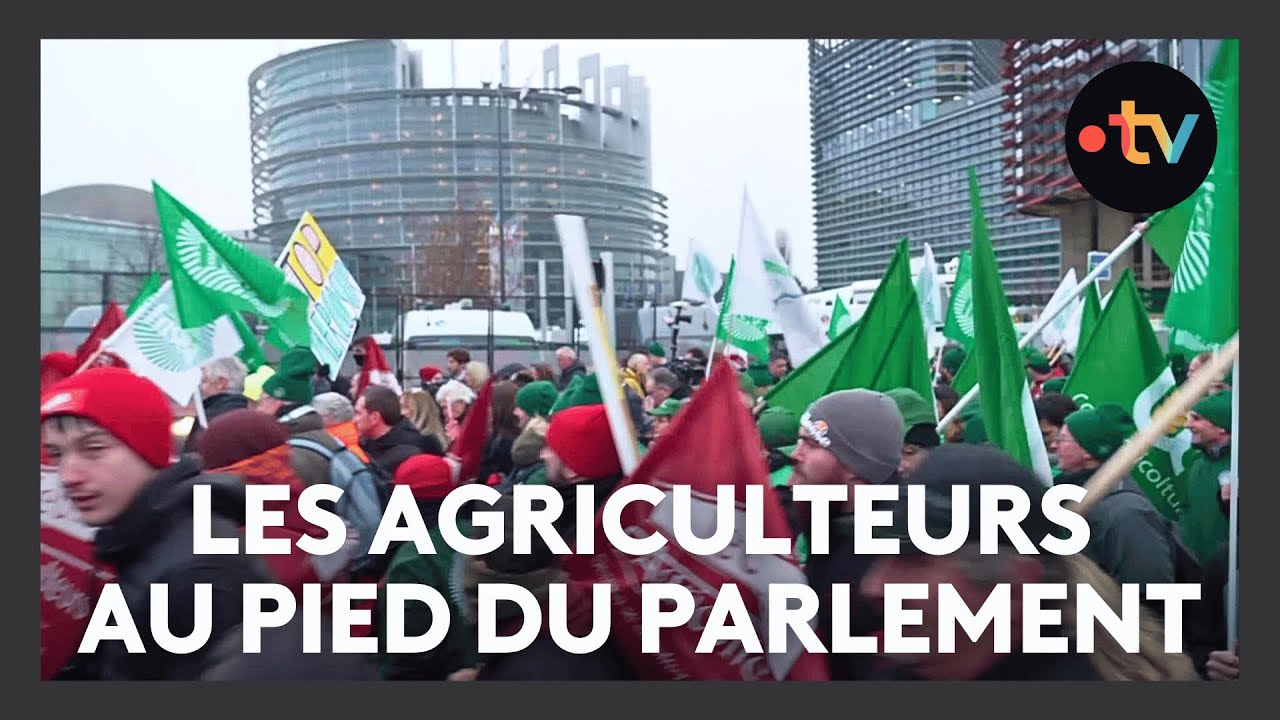 Contre le Mercosur, des milliers d'agriculteurs venus manifester au Parlement européen
