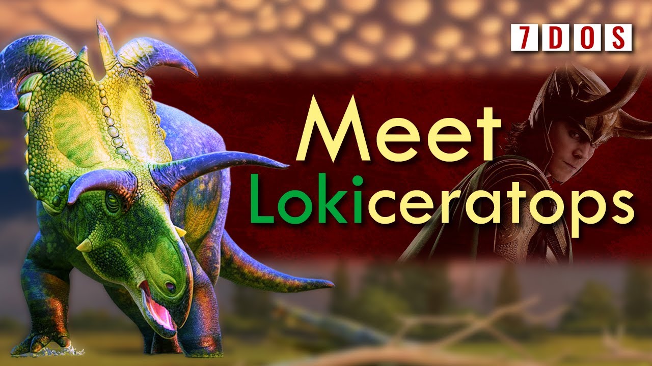 New Horned Dinosaur Species Named Lokiceratops | 7 Days of Science