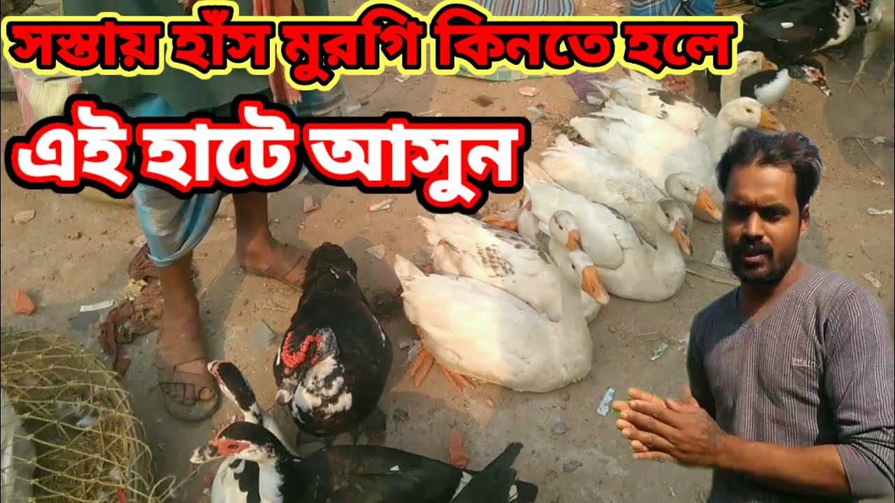 চুনাখালী থেকে ঢুরির হাট | Canning dhuri bazaar | Canning Dhuri Bazaar | Canning bazaar | সুন্দরবন