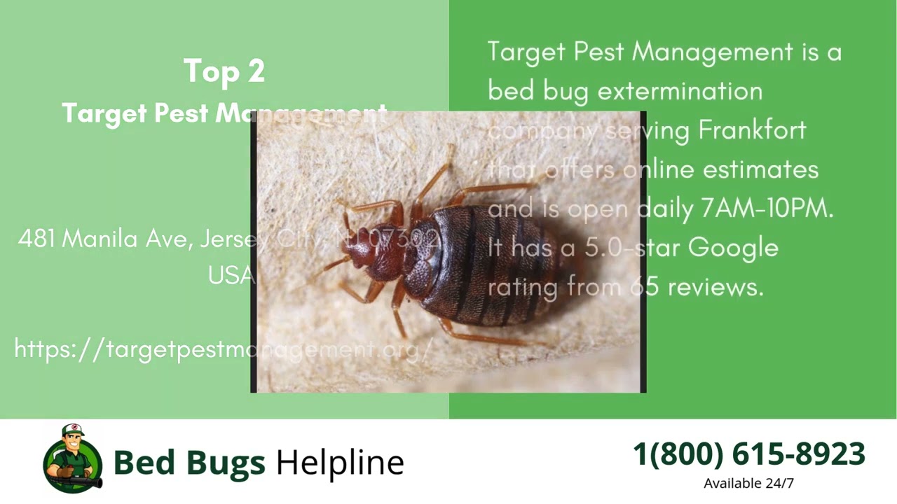 Top 3 Bed Bug Removal in Frankfort