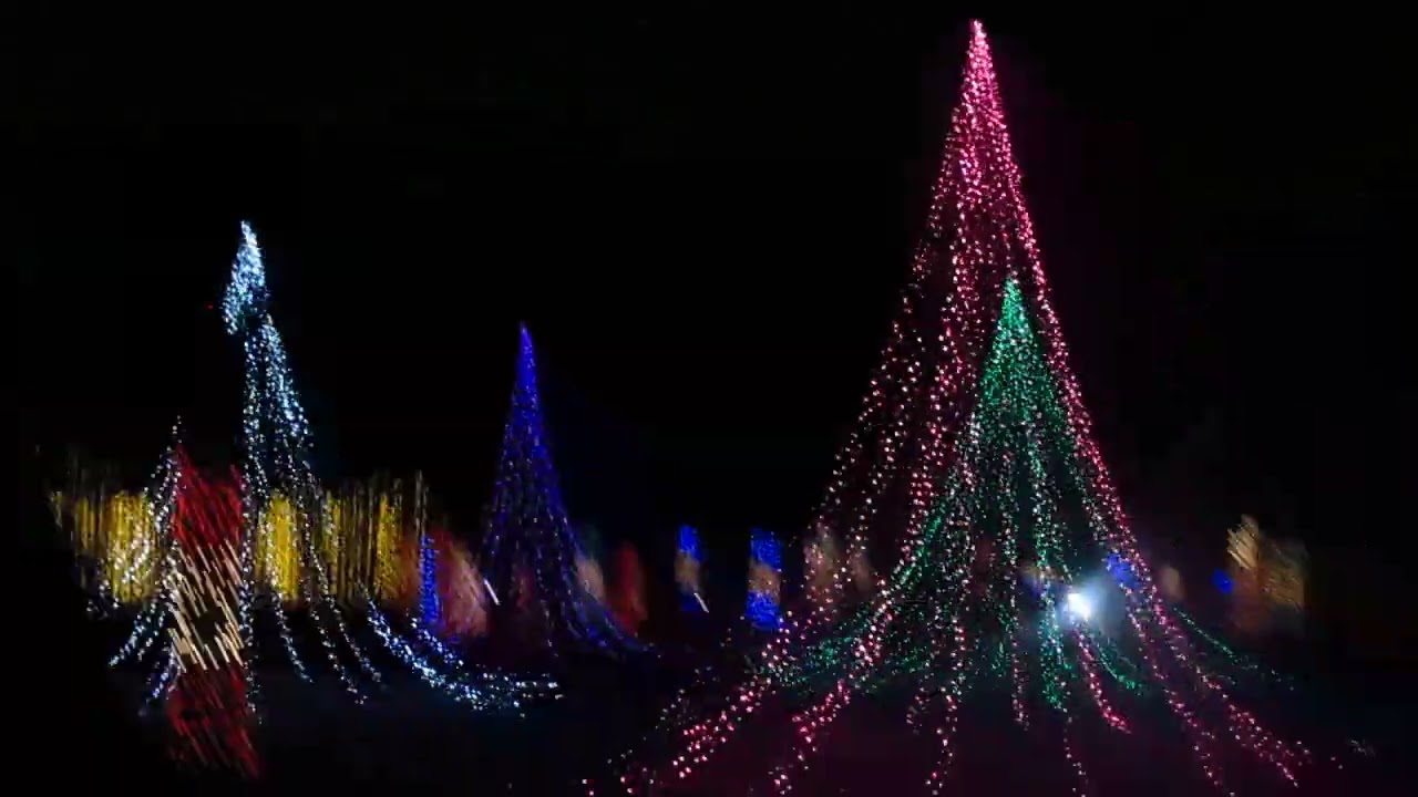 MVI 1082 Christmas Lights 2025 2