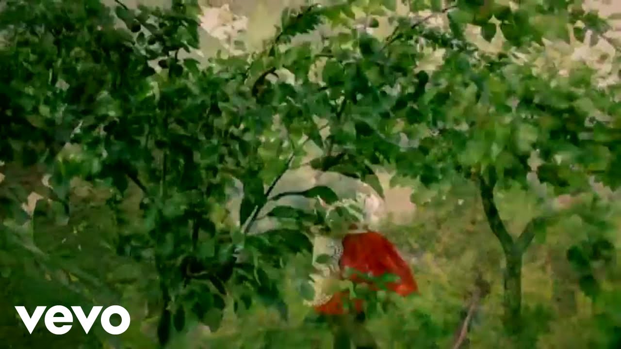 Oľga Baričičová - Oľga Baričičová & Lukáš Prajka - Pro keho sa strojíš