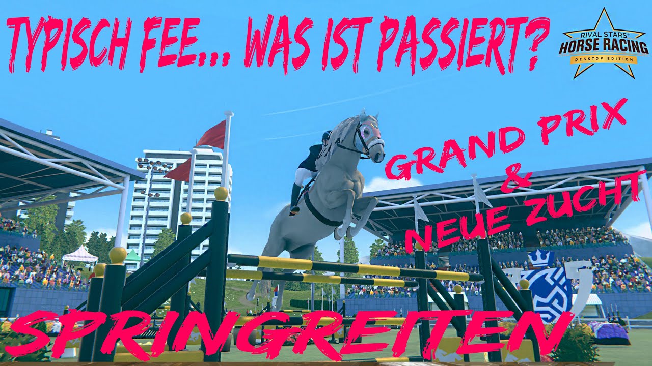 🏇 Typisch Fee... | Neue Zucht | Grand Prix Springreiten 🏇 