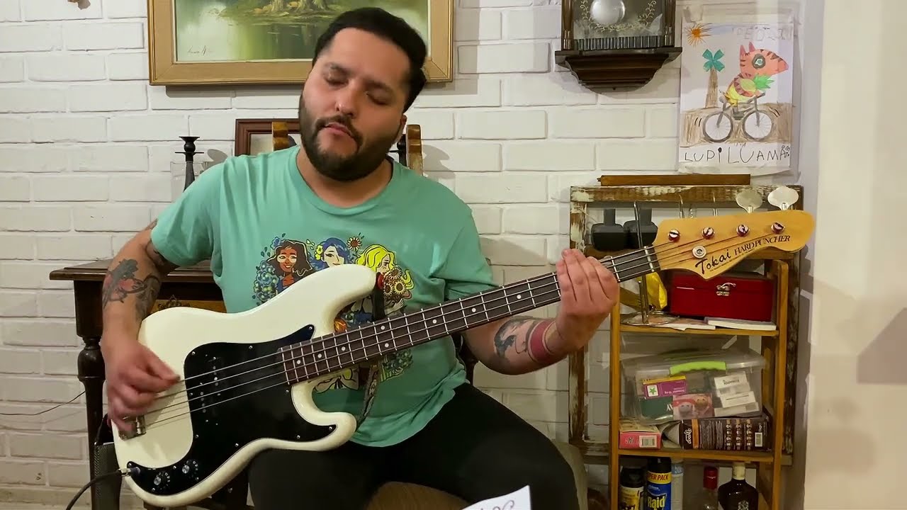 Fall Out Boy - The Patron Saint Of Liars And Fakes (Bass Cover)