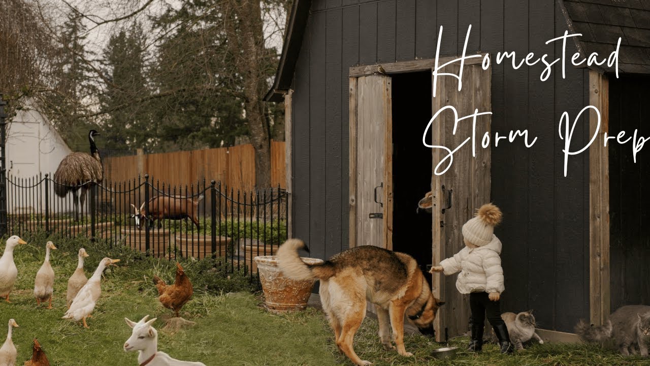 #9 Peaceful Countryside Vlog  | Bracing for a Storm and Restoring Order