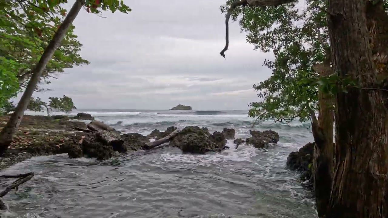 Plus Ultra Chocó's Capurganá Hike
