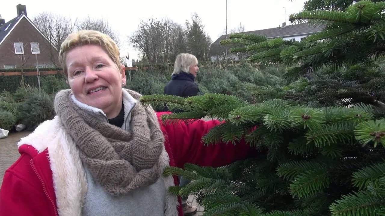 Kerstboom kopen moeilijke keuze