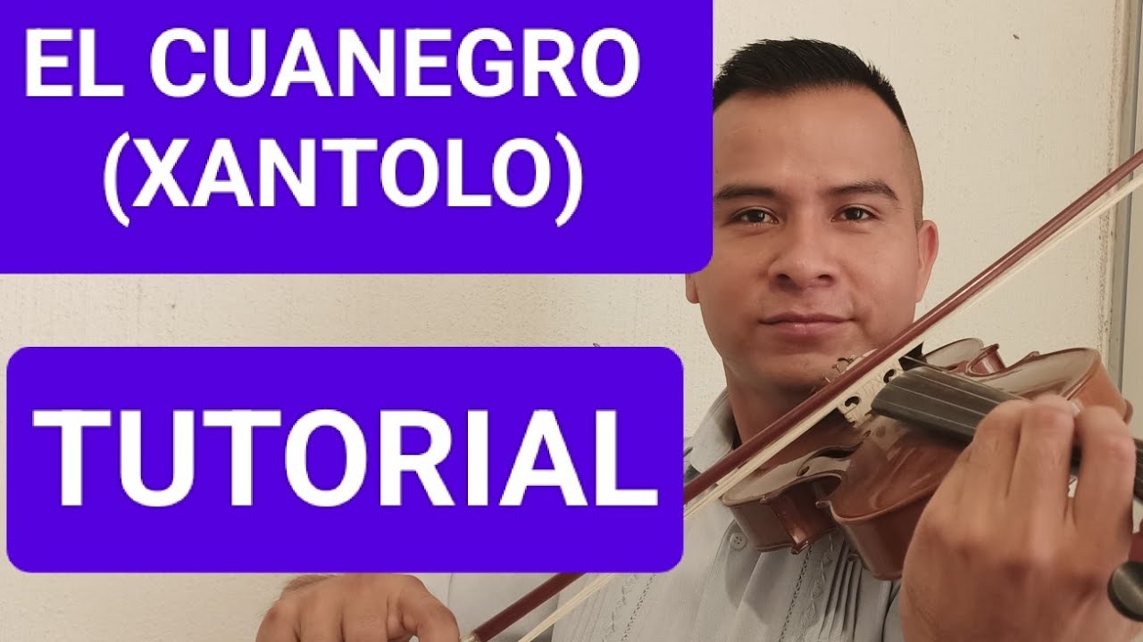 EL CUANEGRO (XANTOLO) TUTORIAL DE VIOLIN
