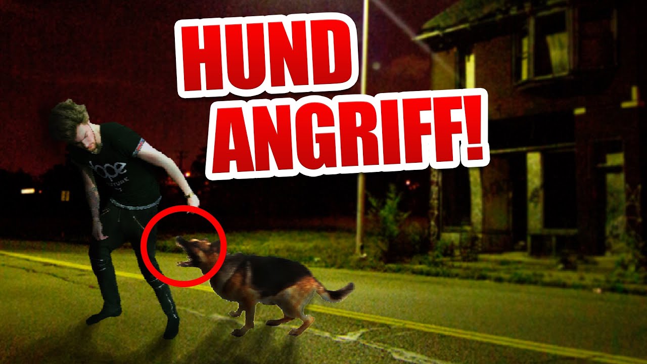Andre von Hund angegriffen..