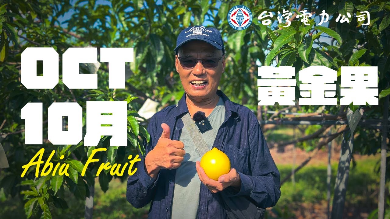 【2025年水果系列】10月｜黃金果