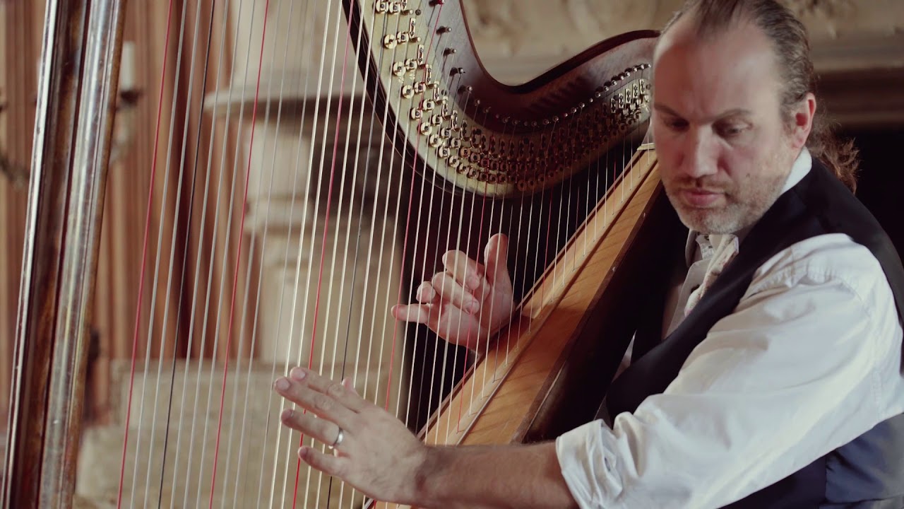 Beauty and the Beast / Alan Menken / Harp Cover : François Pernel