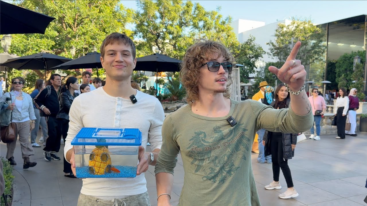 We Adopted A Fish