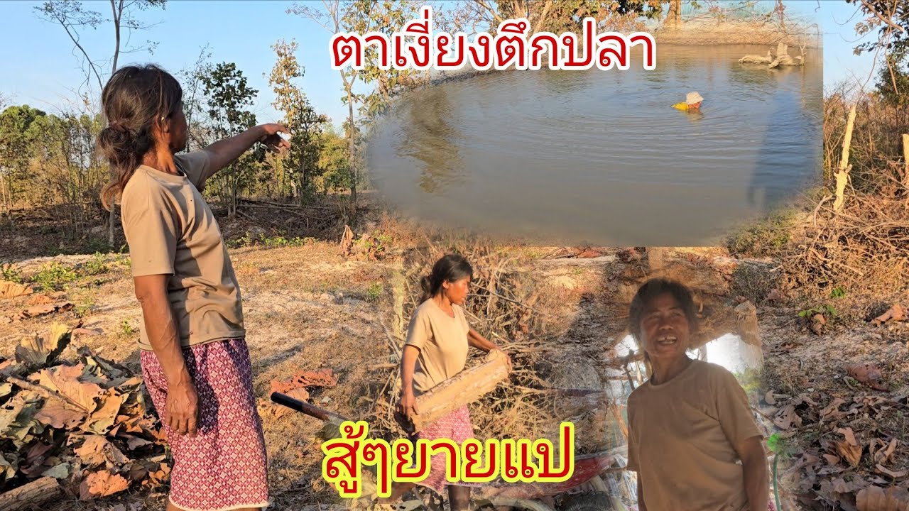 ห้ามความคิดยายแปบ่อได้ผัวตึกแหเมียขนฟืน