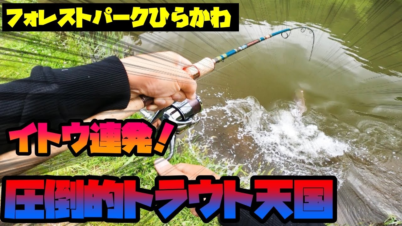 ミノーイングで狙うイトウがアグレッシブすぎた　そして最後に…【エリアミノーイング】