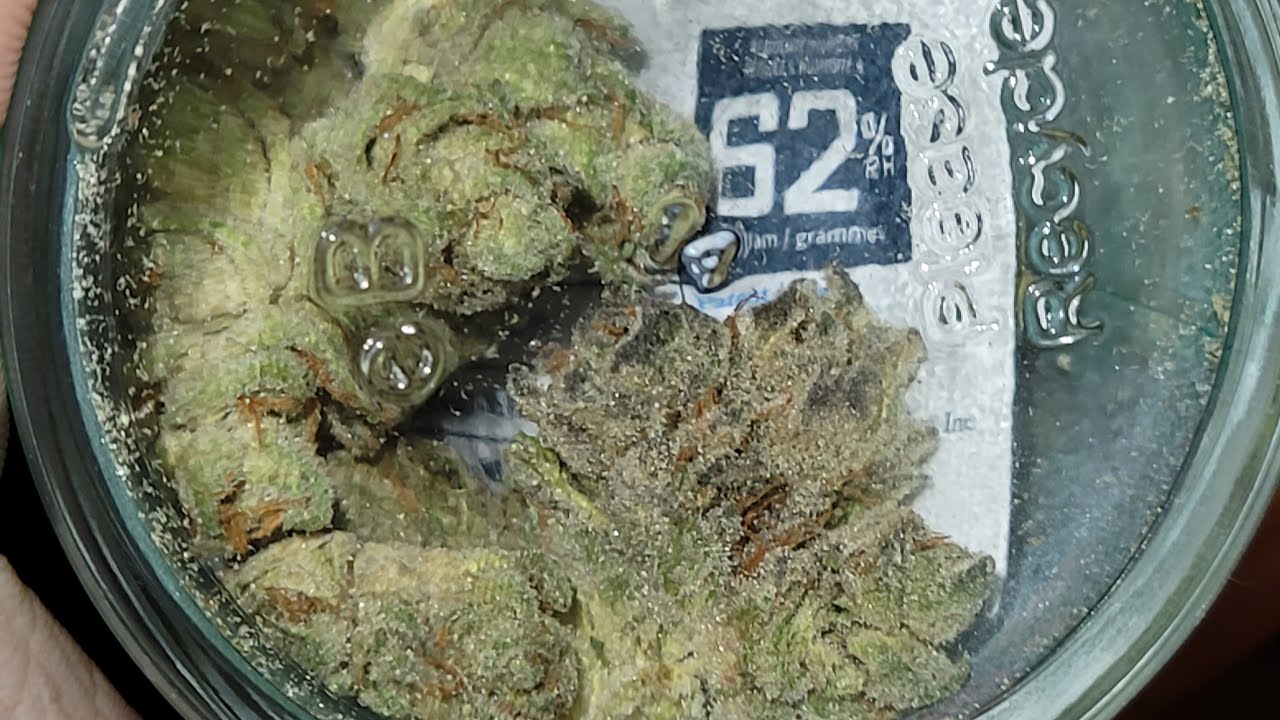 Illinois Rec PTS MacNanna Review