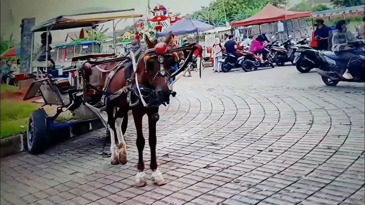 (( MARI KITA BERGEMBIRA ))