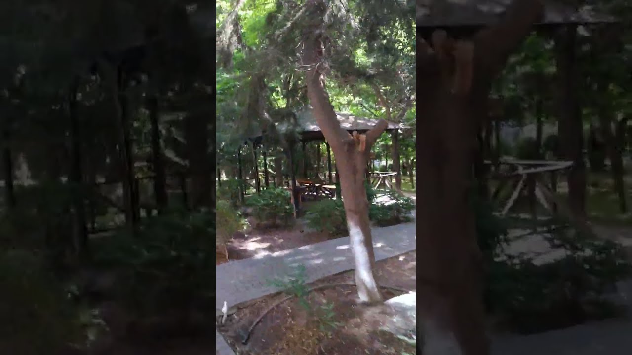 Баку. Восьмой микрорайон. 28.05.2023.