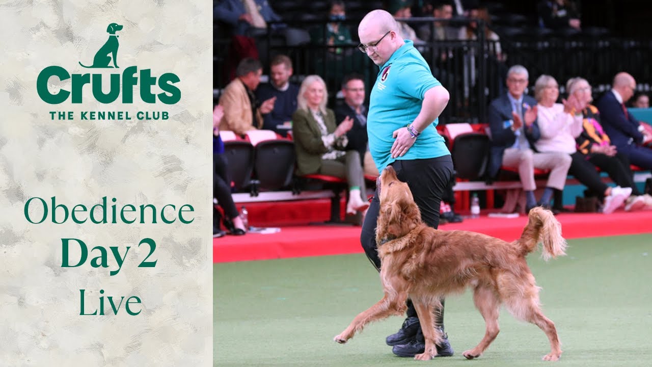 Obedience Day 2 LIVE | Inter-Regional Obedience | Crufts 2024