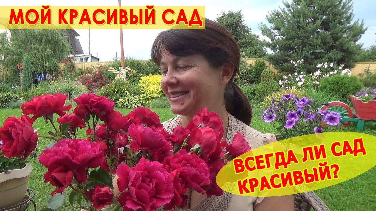 КРАСИВЫЙ САД. Бардак в саду после дождя. Почему я занимаюсь садом? ВЛОГ из моего сада в Подмосковье.