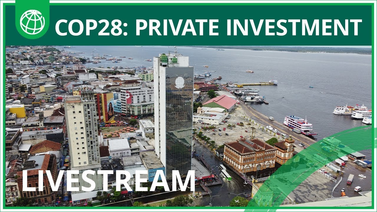 Fostering Private Investment in Sustainable Infrastructure | World Bank Group at COP28, Dubai