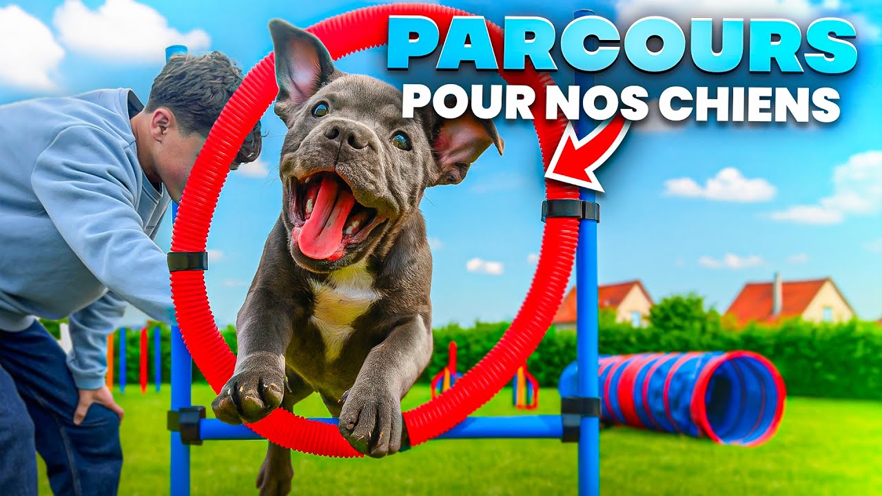 ON CONSTRUIT UN PARCOURS POUR NOS CHIENS !