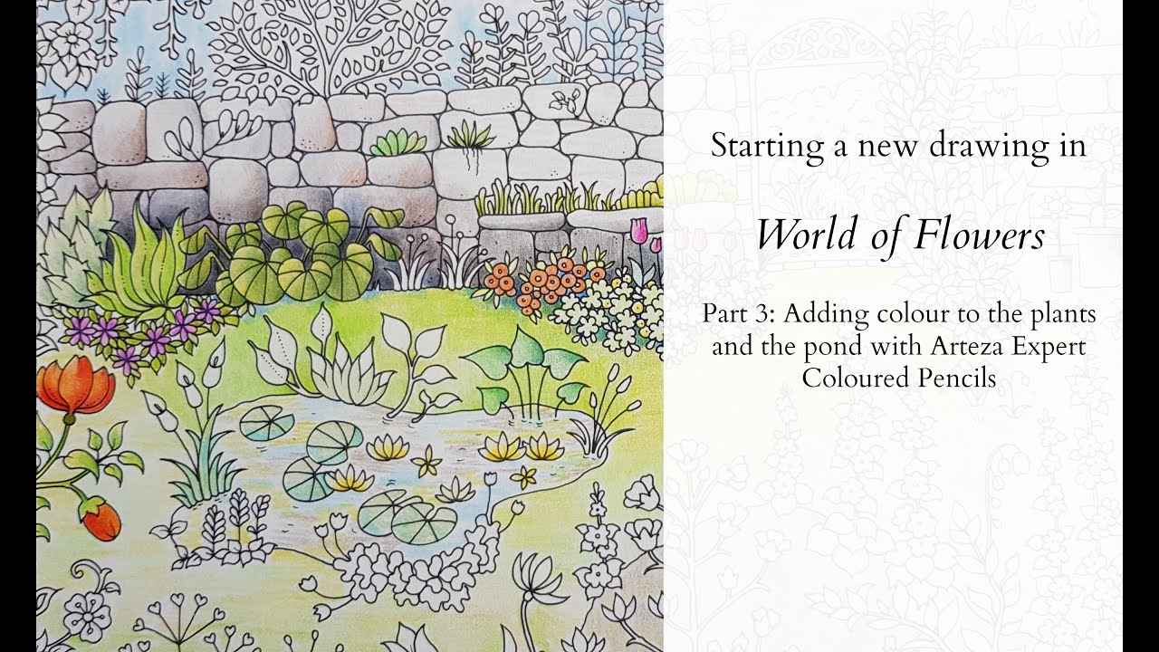 Starting a new Drawing in World of Flowers - Part3: Adding colour with Arteza Expert Colored Pencils