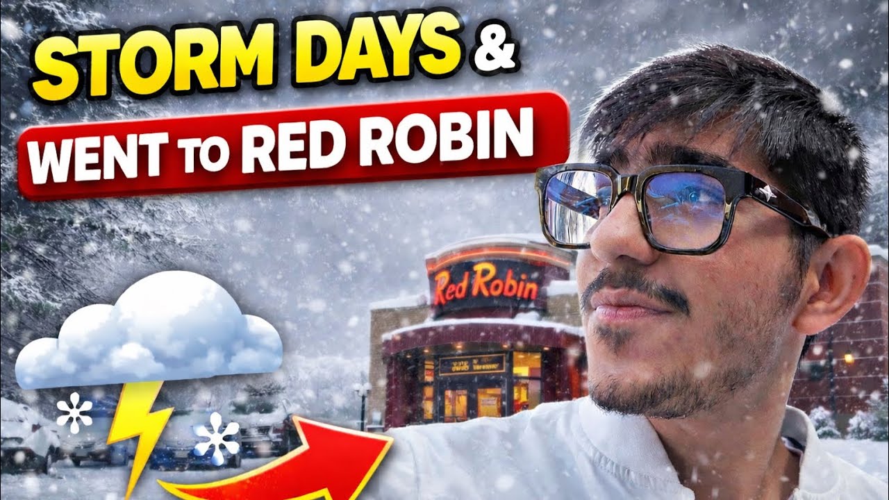 Storm Days ❄️ | Went to Red Robin 🍔 | Gujarati Vlog 🇺🇸