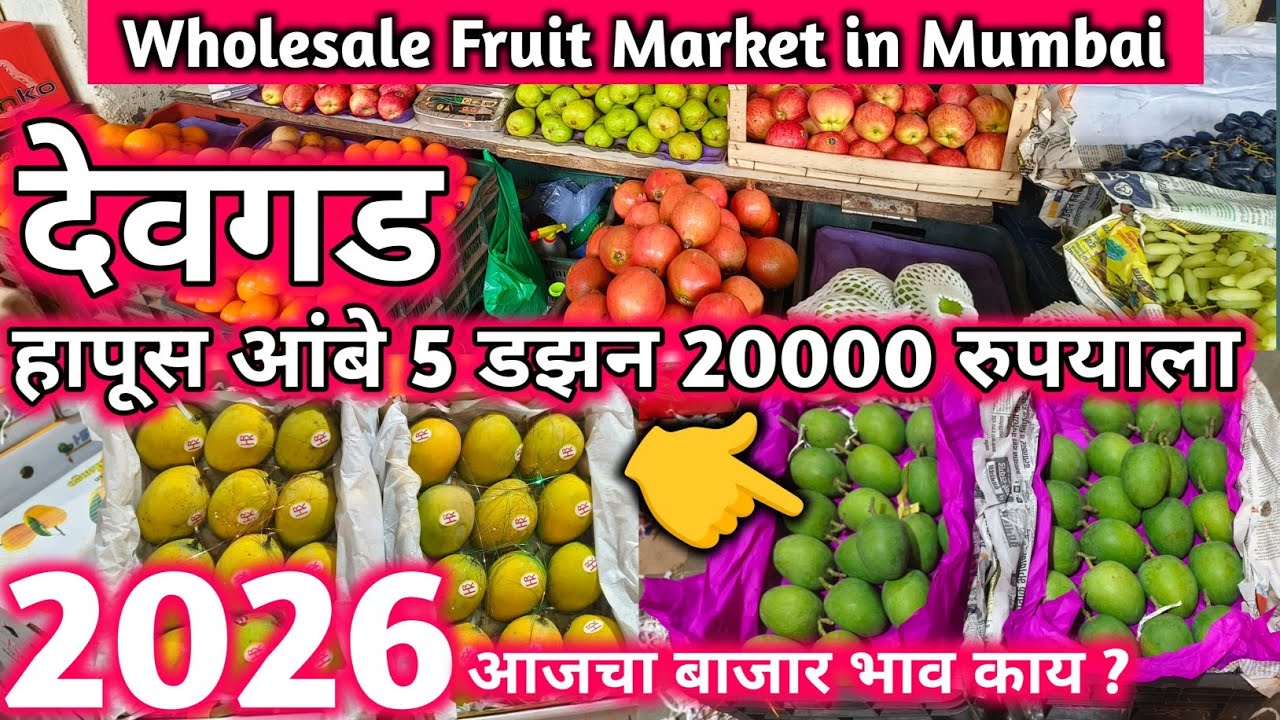 Mango fruit market Vashi Mumbai 🥭| Vashi mango market fruit market| wholesale mango market in Mumbai