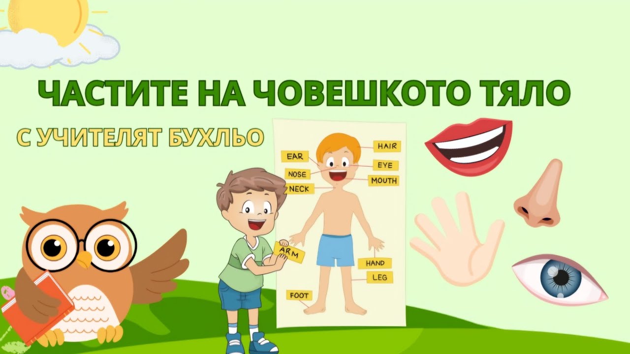 ЧАСТИТЕ НА ЧОВЕШКОТО ТЯЛО + ЧАСТИТЕ НА ЛИЦЕТО | Образователно видео за деца | THEBESTKIDSBG #деца