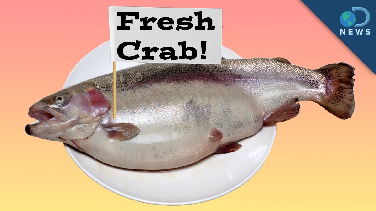 Restaurants Sell You Fake Food