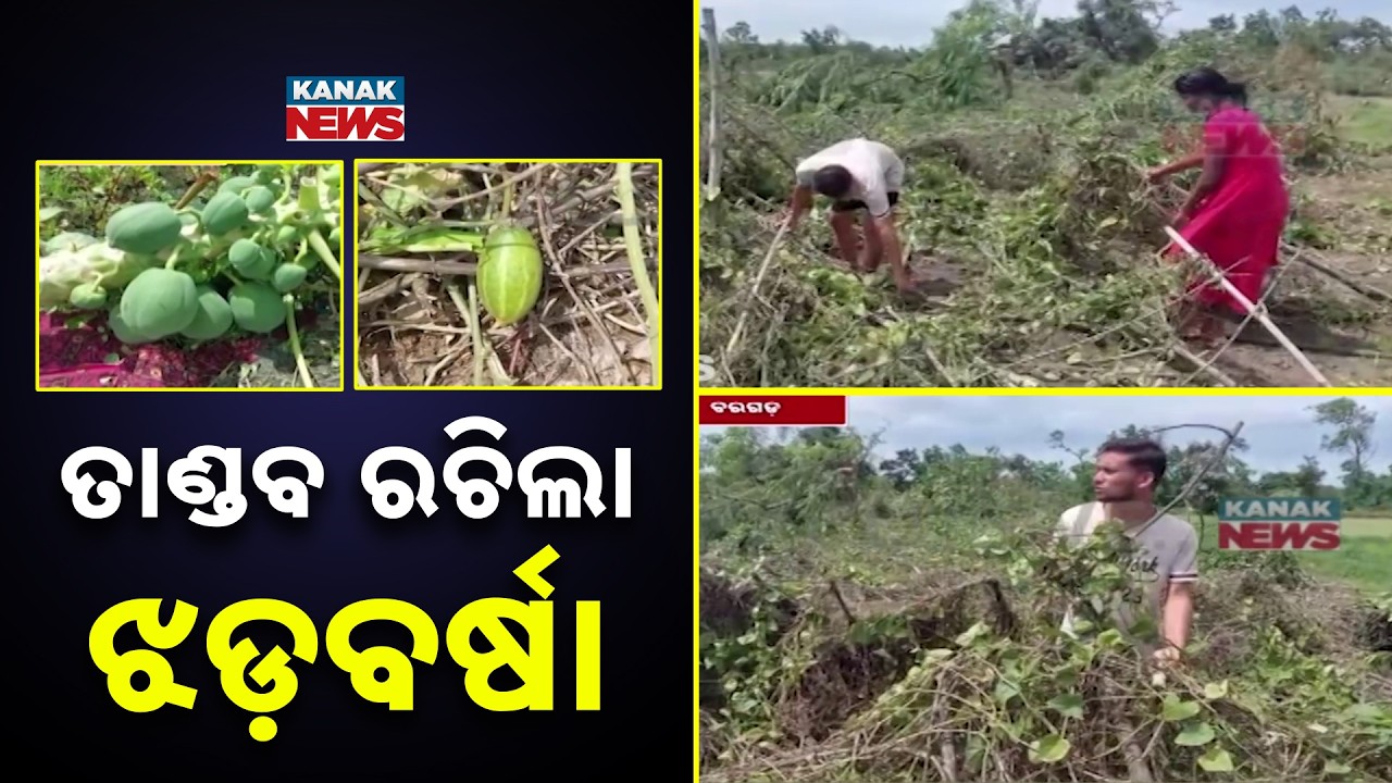 Bargarh Storm News | Kalbaisakhi Destroys Houses and Crops in Chakrakend